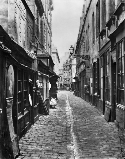 プティブシェリーの通路（rue Gozlin） 作： Charles Marville